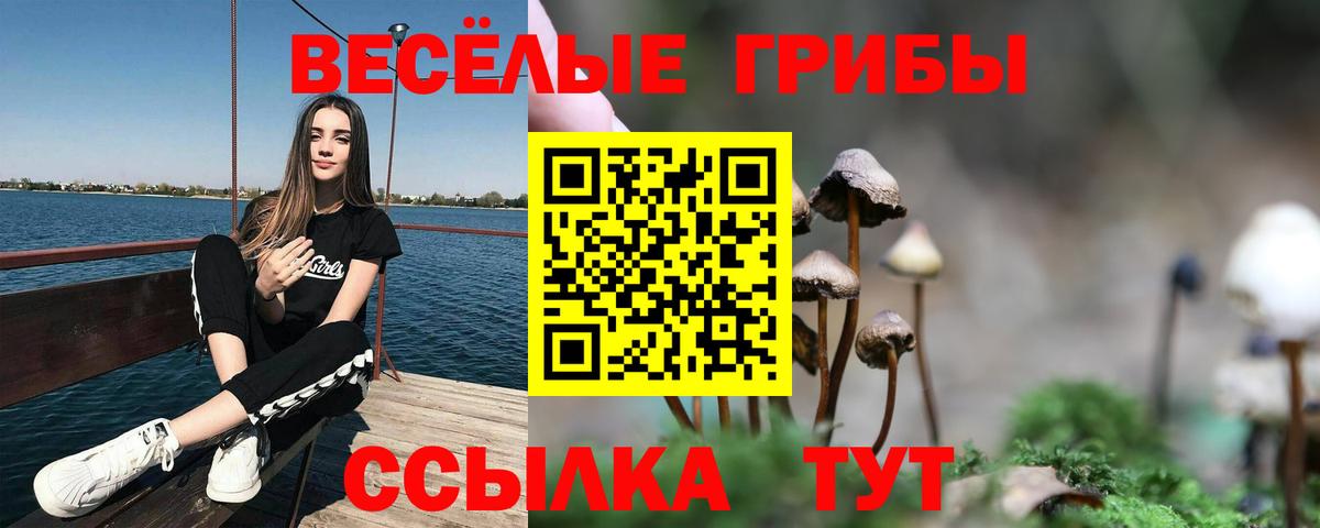 Галлюциногенные грибы Cubensis Троицк